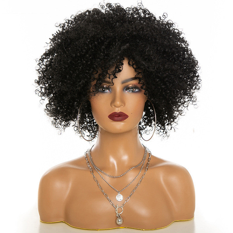 Afro Kinky Curly Hair Wigs - Women