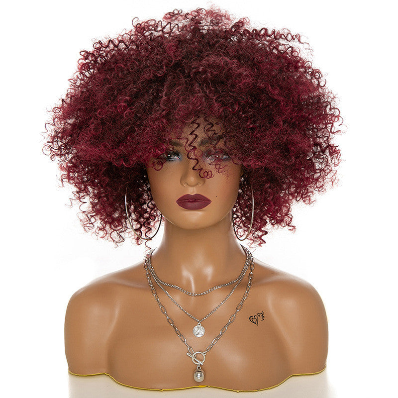 Afro Kinky Curly Hair Wigs - Women