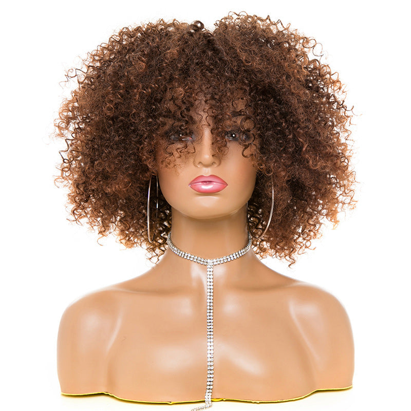 Afro Kinky Curly Hair Wigs - Women